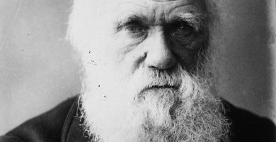 Charles Robert Darwin, frasi di Charles Robert Darwin, Charles Robert Darwin frasi, frasi Charles Robert Darwin, citazioni di Charles Robert Darwin, aforismi di Charles Robert Darwin, detti di Charles Robert Darwin, adagi di Charles Robert Darwin, frasi sull'evoluzione, origin,