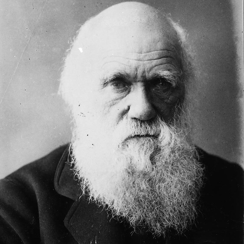 Charles Robert Darwin, frasi di Charles Robert Darwin, Charles Robert Darwin frasi, frasi Charles Robert Darwin, citazioni di Charles Robert Darwin, aforismi di Charles Robert Darwin, detti di Charles Robert Darwin, adagi di Charles Robert Darwin, frasi sull'evoluzione, origin,